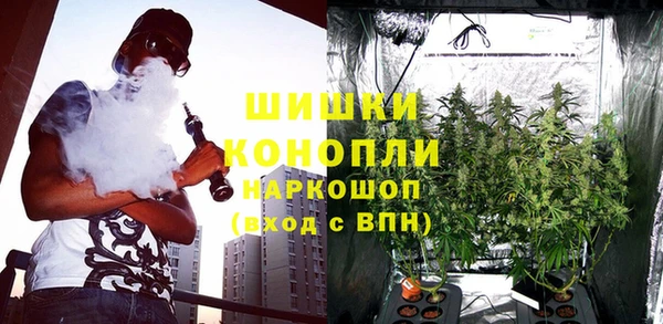 винт Дмитров
