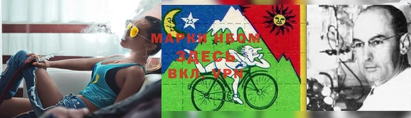 винт Дмитров