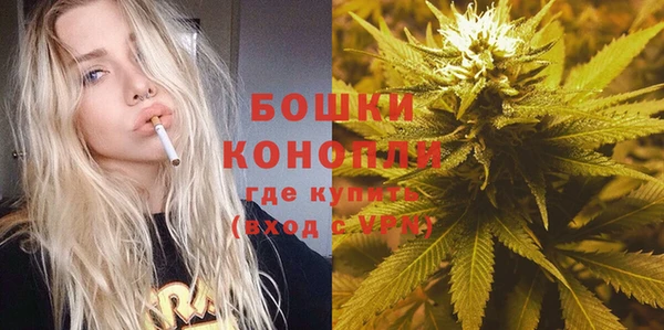 винт Дмитров