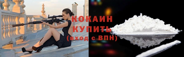 стаф Дмитриев