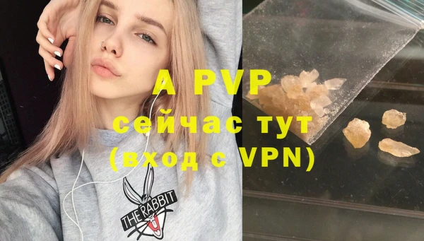 стаф Дмитриев