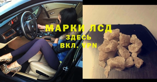стаф Дмитриев
