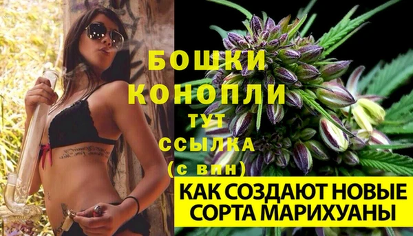 стаф Дмитриев
