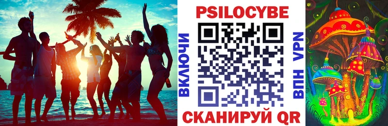 Купить  Петушки  Псилоцибиновые грибы GOLDEN TEACHER 